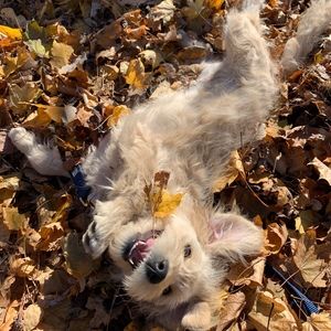 Meet your Posher, Rena